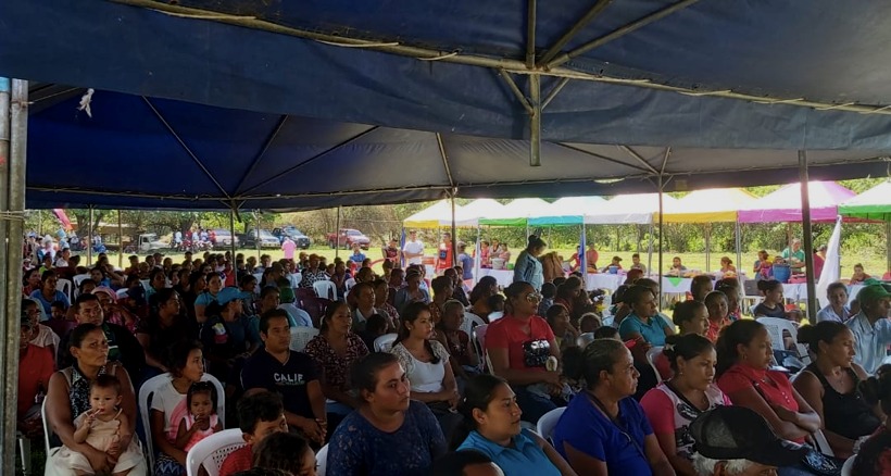 nica vida